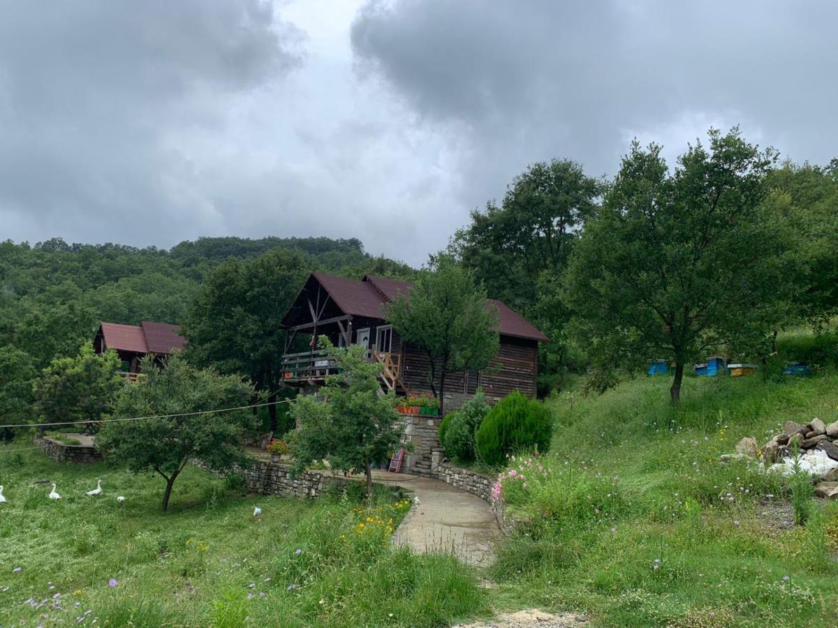 Origjina Farm Villa Permet Ngoại thất bức ảnh