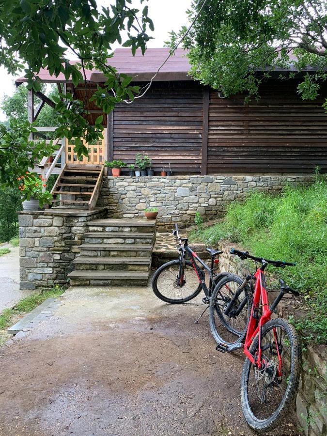 Origjina Farm Villa Permet Ngoại thất bức ảnh